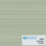 9009 Штрокс олива